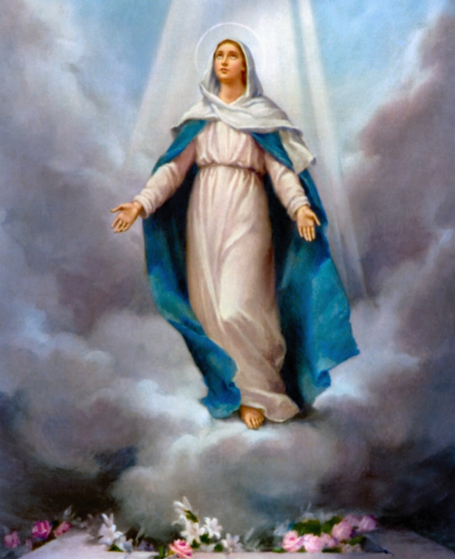 The Assumption of Our Lady into Heaven